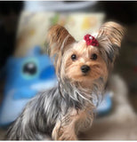 18pcs/set Hair Clips and Hair Band Accessories For The Perfectly Groomed Pet. A Must Have Collection For every Fur Baby.