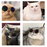 Sunglasses- Every small fur baby needs a pair! Lots of color choices. Fun dress up for your pet child.