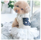 Designer Styles For Your Fur Baby! No. 5 Dress. Designer inspired outfits for the best dressed pet.    XS S M L XL- Multiple Colors