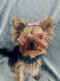 Sunglasses- Every small fur baby needs a pair! Lots of color choices. Fun dress up for your pet child.