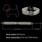 Elegant Rhinestone and Pearl Pet Collar Necklace. Luxury has no bounds when it comes to your fur baby.
