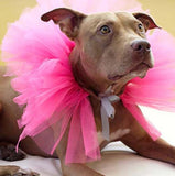 Ballerina Tutu For Your Fur Baby! Every Furbie Needs A Tutu In Their Closet. Wear It Alone Or As An Underskirt. Multiple Colors and Sizes