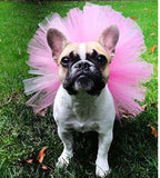 Ballerina Tutu For Your Fur Baby! Every Furbie Needs A Tutu In Their Closet. Wear It Alone Or As An Underskirt. Multiple Colors and Sizes