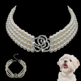 Elegant Rhinestone and Pearl Pet Collar Necklace. Luxury has no bounds when it comes to your fur baby.