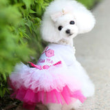 Sweetie Princess Dress with Lace Tutu. Dress your boo in style for any occasion. Comes in several different styles and colors.