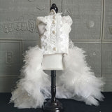 Haute Couture Wedding Dress. A Fairy-Tale Classic White Tulle And Lace Ball Gown With Chapel Train